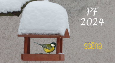 pf_amaterska_scena_2024