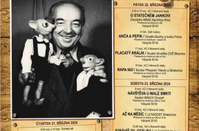 Skupovy_STR_program_web