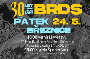 breznice-2685f1753219e6a0afcba4d6cdc16f3d