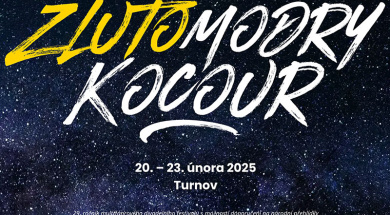 zlutomodry-kocour