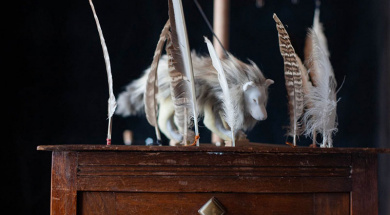 plume_le-cabaret-nomade