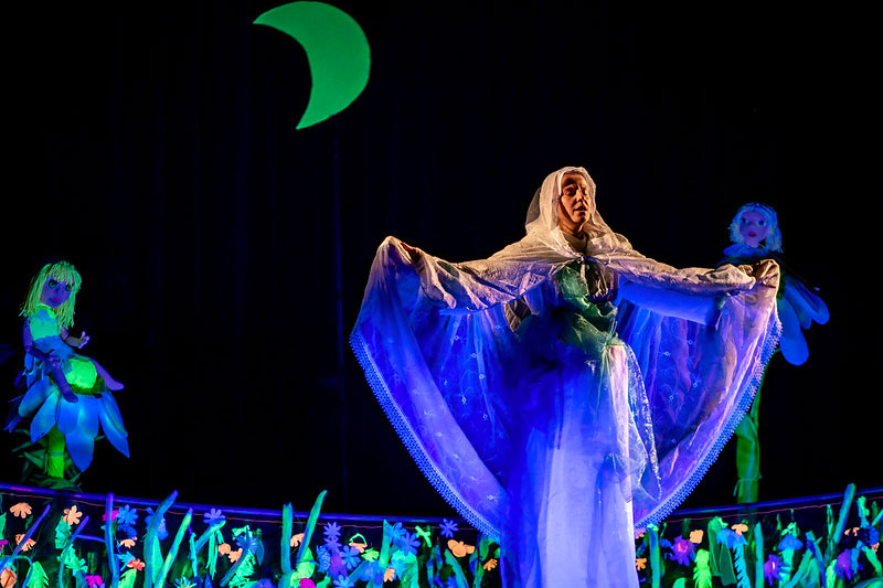 Pohádková inscenace černého divadla Heřmánková víla (režie K. Žižková a kol.) měla premiéru v prosinci 2023. Dosud bylo odehráno 21. představení v sedmi městech České republiky. 