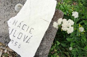 7db85c7a-e638-4187-849a-684e2dc96932_result