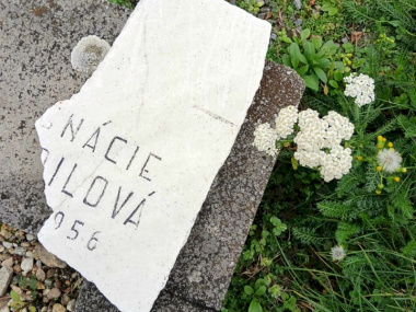 7db85c7a-e638-4187-849a-684e2dc96932_result