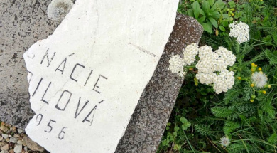 7db85c7a-e638-4187-849a-684e2dc96932_result