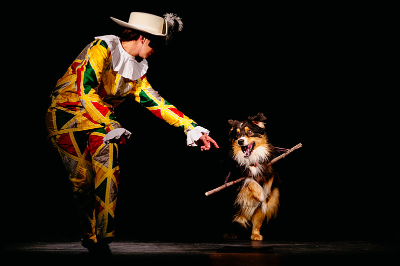 Divadelní Fimfárum Český Krumlov