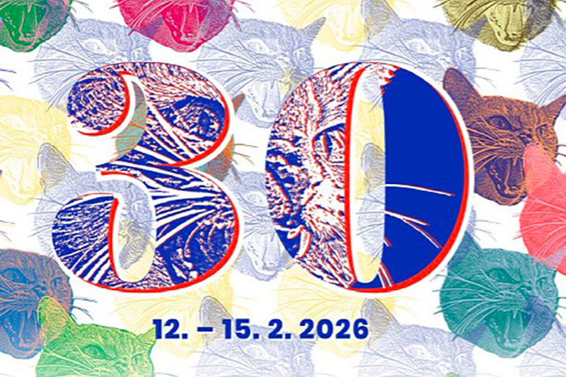 Festival Žlutomodrý kocour slaví 30 let!