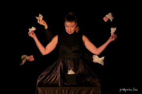 Mme-Likvidator_1-cfe65de799e11f4e3043f1d0dc6753ef