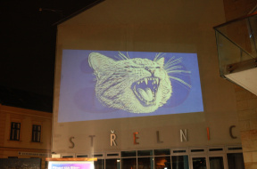 ŽLutomodrý kocour 2026 Turnov