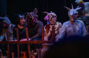 DS Jiri Podebrady_Farma zvirat