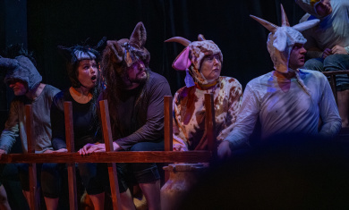 DS Jiri Podebrady_Farma zvirat