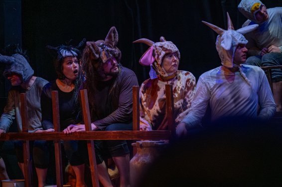 DS Jiri Podebrady_Farma zvirat