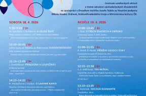 div-se-plakat-a3-nahled