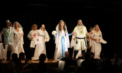 Stitina_Spamalot